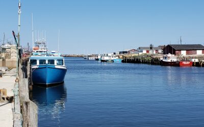 Meandering the Maritimes 2024